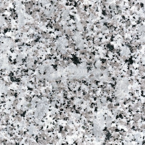 Bianco Perla || 芭拉花