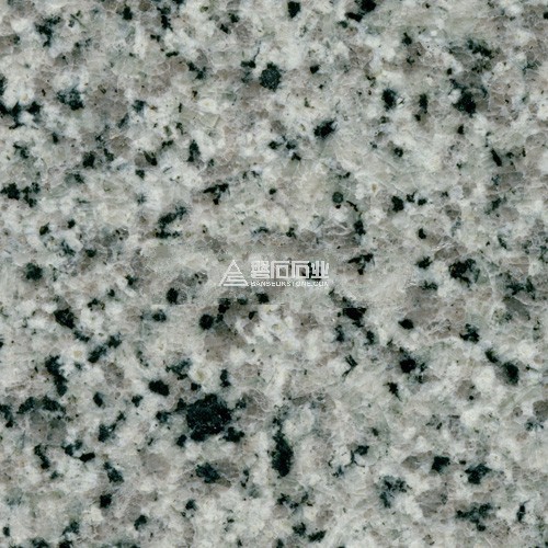 G641