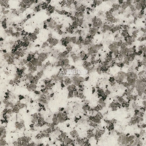White Coarse Grian Puning ||普宁大花白