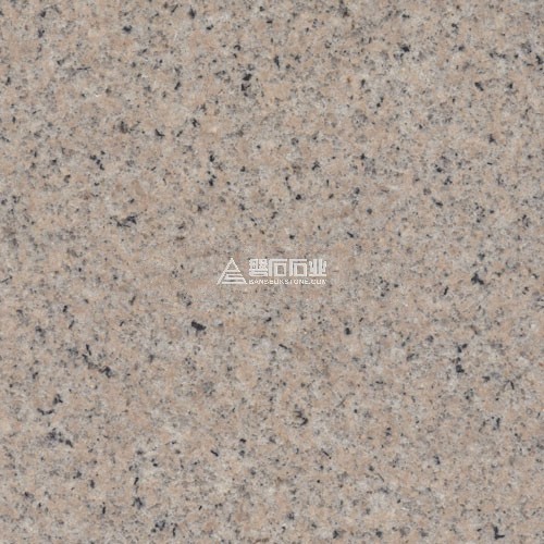 G681