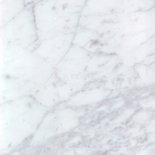White Carrara ||细花白