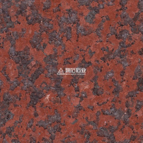 African Red|| 南非红